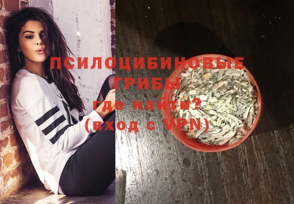дмт Белокуриха