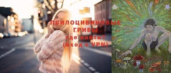 дмт Белокуриха