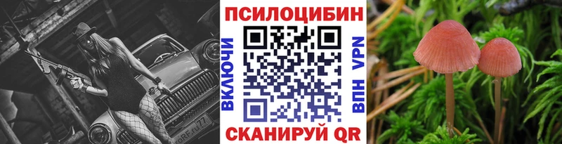 MEGA как зайти  Каспийск  Галлюциногенные грибы Cubensis 